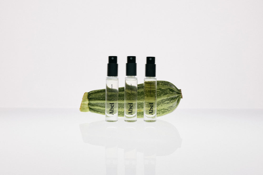 SHOP: DISCOVERY SET